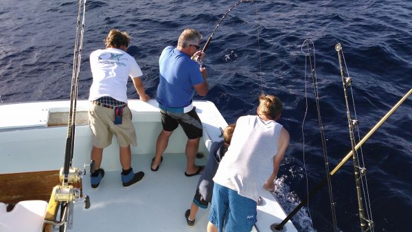 Tuna Duck Sportfishing, Good Action Today