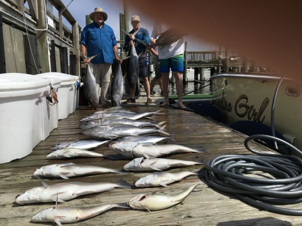 Carolina Girl Sportfishing Charters Outer Banks, In the Meat