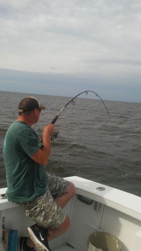 Wanchese Fishing Charters, A little windy app