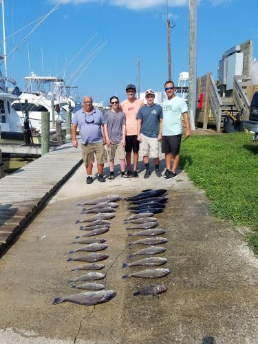 Fishin' Fannatic, Great Fishing Here in the Outer Banks this Week