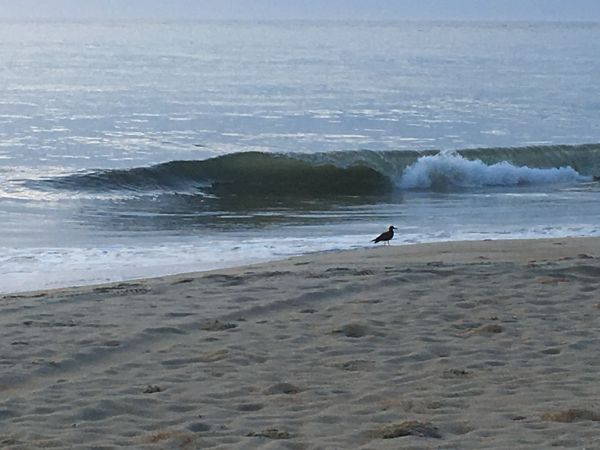 Outer Banks Boarding Company, OBBC Friday August 16th