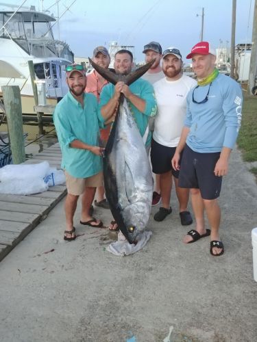 Fishin' Fannatic, Back to Business