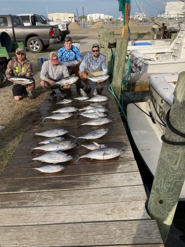 Fishin' Fannatic, Tuna Time