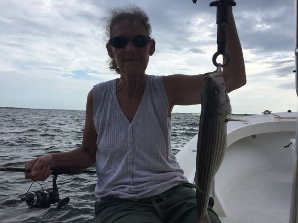 T-Time Charters, limit of stripers in the sound again today