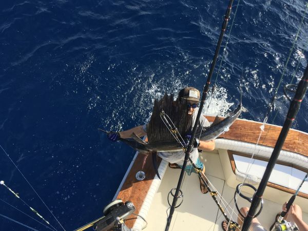 Carolina Girl Sportfishing Charters Outer Banks, Offshore fishing is Hot