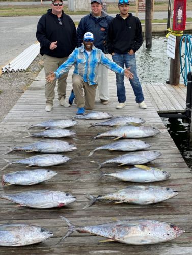 OBX Bait & Tackle Corolla Outer Banks, Corolla Fish Report