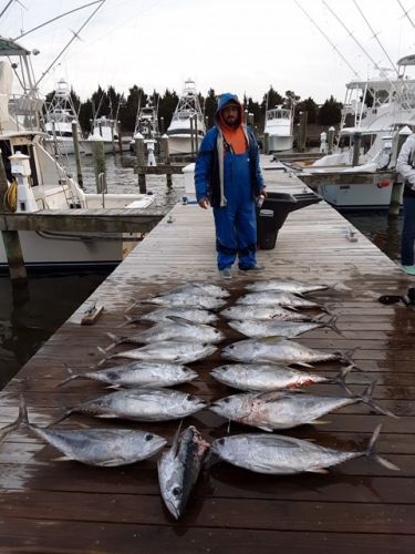 Pirate's Cove Marina, All I Want for Christmas is a TUNA!