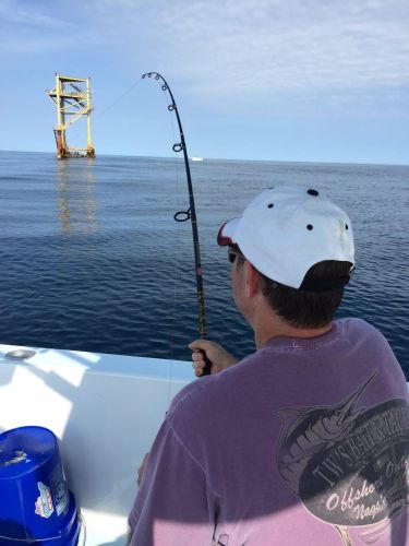 OBX Bait & Tackle Corolla Outer Banks, Corolla Fish Report