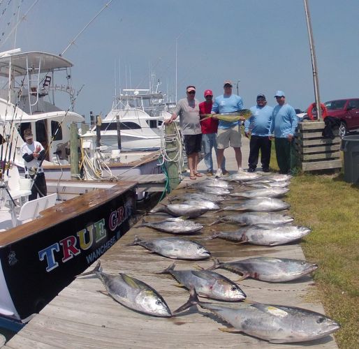 Corolla Fishing Report OBX Bait & Tackle Corolla Outer Banks Outer