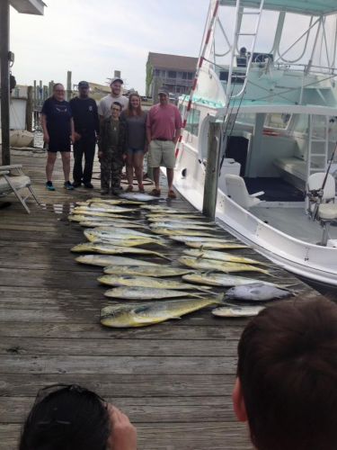 Albatross Fleet, Nice when you catch 'em