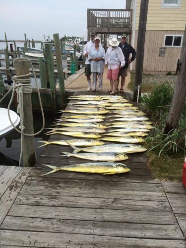 Albatross Fleet, longtime customers catch 'em up!