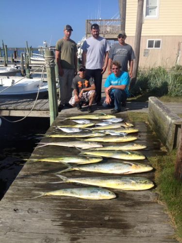 Albatross Fleet, Still catching gaffers