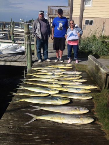 Albatross Fleet, Plenty of gaffers and a sailfish