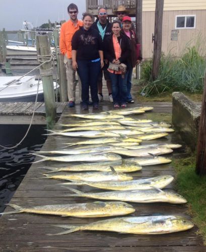 Albatross Fleet, Another good day