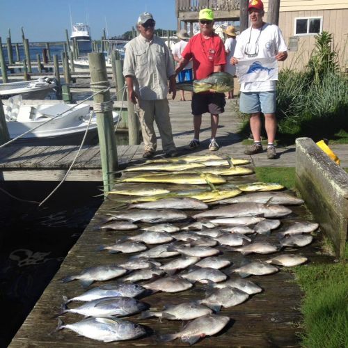 Albatross Fleet, Not a bad day!