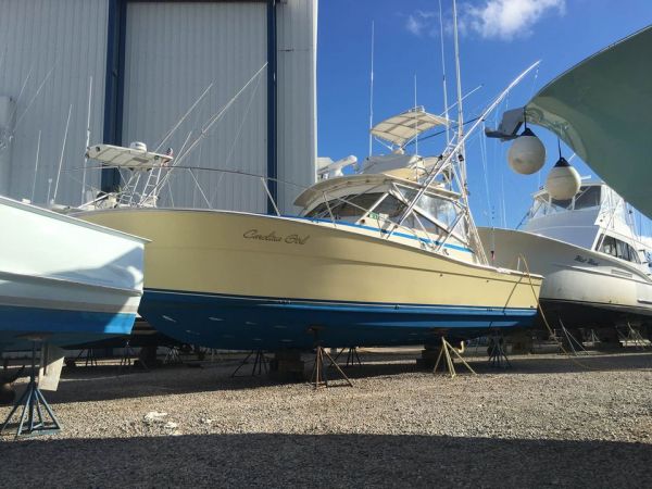 Carolina Girl Sportfishing Charters Outer Banks, January 12, 2021
