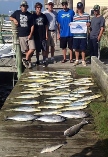 Albatross Fleet, sailfish and dolphins