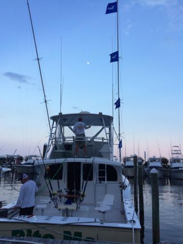 Bite Me Sportfishing Charters, Chasing Whitey