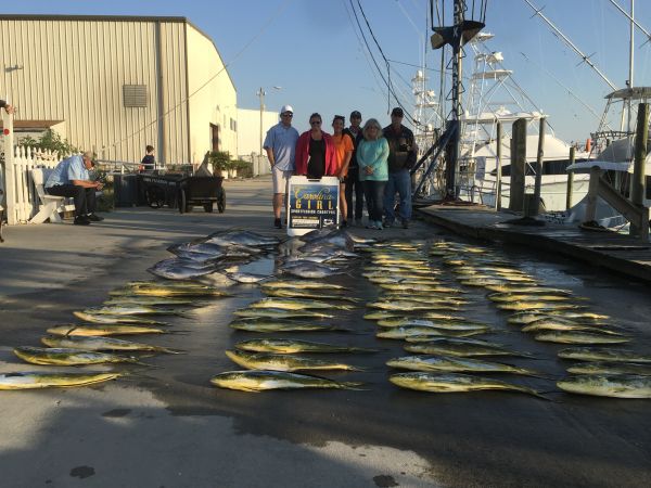 Carolina Girl Sportfishing Charters Outer Banks, Big Temperature change today from past few days 70 this weekend!!!
