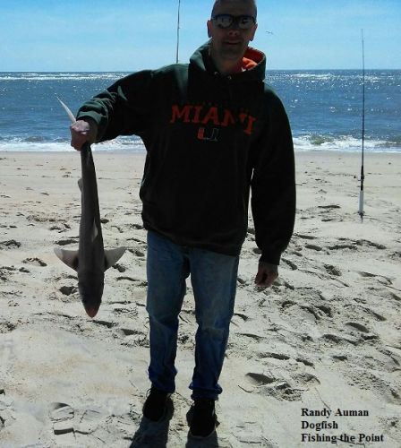 TW’s Bait & Tackle, Daily Fishing Report