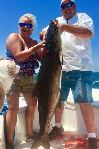 OBX Bait & Tackle Corolla Outer Banks, Corolla Fish Report