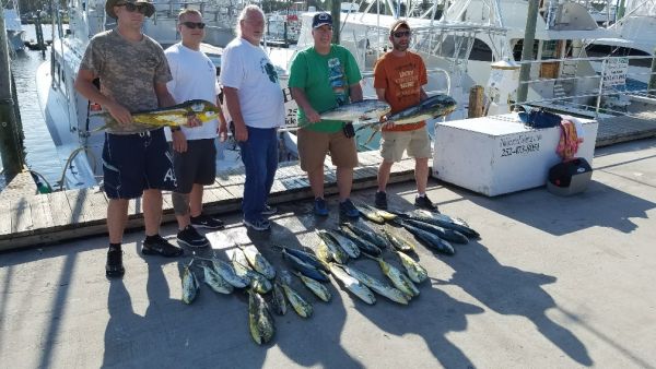 Phideaux Fishing, mahi