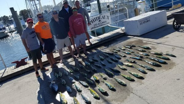 Phideaux Fishing, Dolphin and Tuna are Biting
