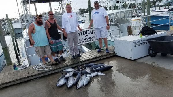 Phideaux Fishing, Big pile of small tunas