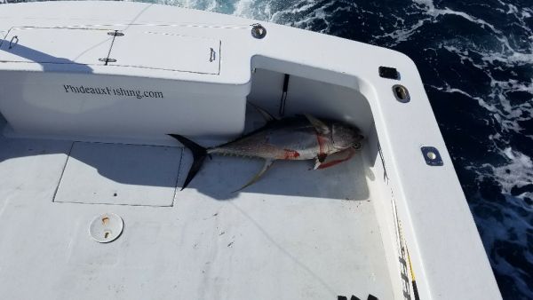 Phideaux Fishing, 109 lb. yellow fin