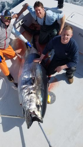 Phideaux Fishing, Ride along tuna fishing with us, thanks sam