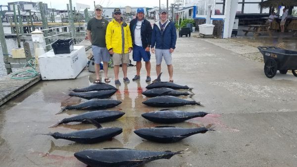 Outer Banks Fishing Charters, Tatonca
