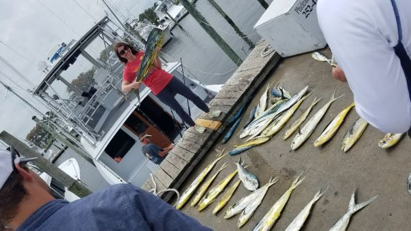 Phideaux Fishing, TRUDY'S CROWD DID GREAT