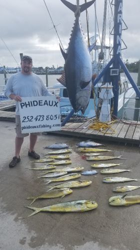 Phideaux Fishing, 215# Big Eye