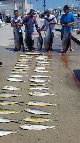 Phideaux Fishing, More 100 pound tuna