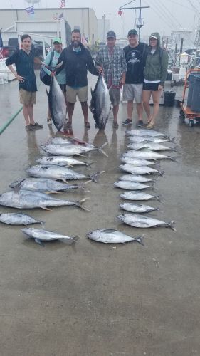 Phideaux Fishing, Great tuna fishing, BIG EYE, YELLOW and BLACK