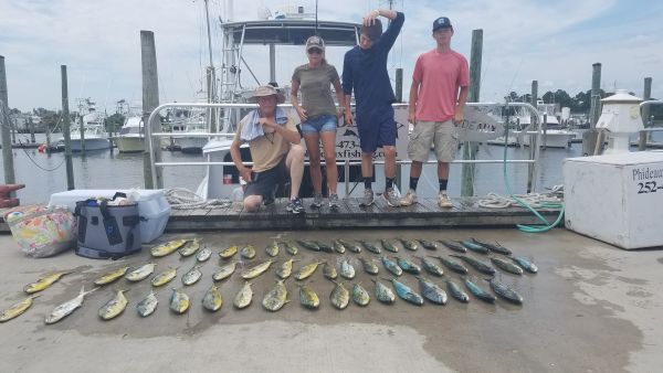 Phideaux Fishing, DOLPHIN