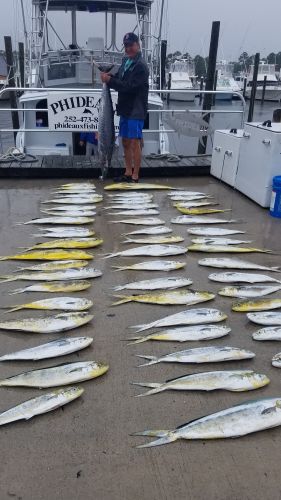 Phideaux Fishing, Blue Marlin, Wahoo and mahi