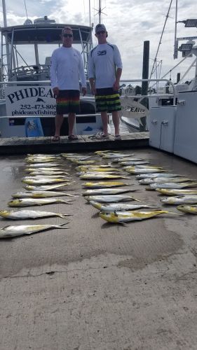 Phideaux Fishing, Kelly's mahi