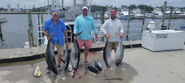 Phideaux Fishing, Great tuna fishing! Thanks Bart and crew