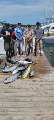 Phideaux Fishing, Still good tuna fishing