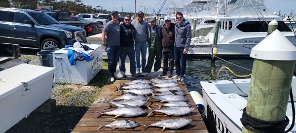 Thanks Chris and crew!!