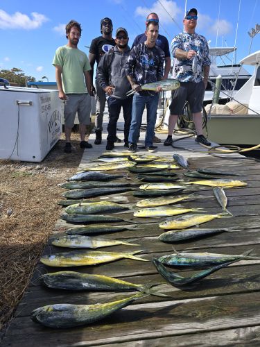 Phideaux Fishing, Mahi mahi