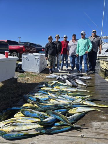 Phideaux Fishing, Mahi and Blackfin