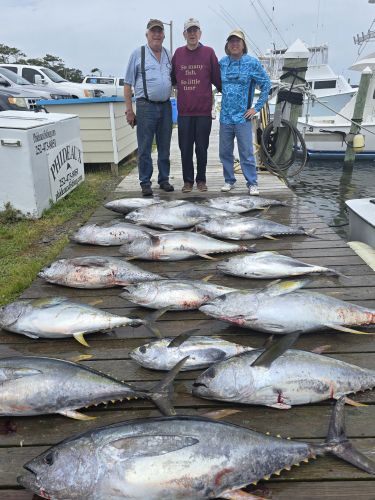 Outer Banks Fishing Charters, Nice Yellowfin