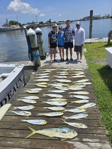 Phideaux Fishing Charters Outer Banks, No Tangles!!