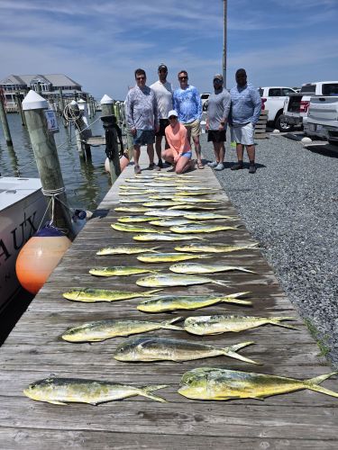 Phideaux Fishing Charters Outer Banks, Thanks Doug, great day!