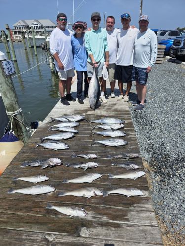 Phideaux Fishing Charters Outer Banks, Wonderful Day!!