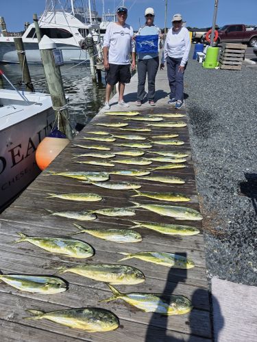 Phideaux Fishing Charters Outer Banks, Good going on your white marlin Elaine!!