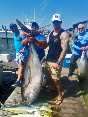 The Hooker, Giant Bluefin, Yellowfin and Blackfin