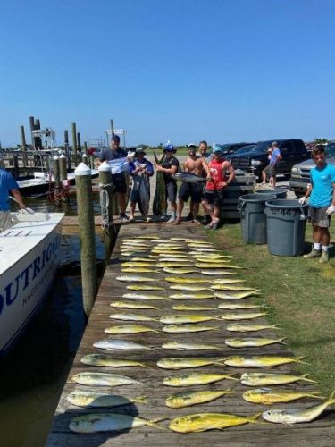 OBX Bait & Tackle Corolla Outer Banks, Corolla Fish Report